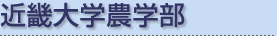 �ߋE��w�_�w�� ����