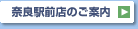 �ޗǉw�O�X�̂��ē�